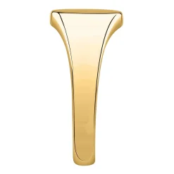Gioielli Uomo|Anelli In Oro<Bluespirit ANELLO CHEVALIER - P.76S503000119