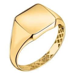 Gioielli Uomo|Anelli In Oro<Bluespirit ANELLO CHEVALIER - P.13S503000119