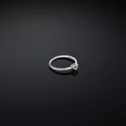 Gioielli Donna<Chiara Ferragni Brand ANELLO SILVER COLLECTION - J19AXD11010