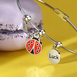 Bracciali In Acciaio|Bracciali Donna<La Petite Story BRACCIALE FRIENDSHIP - LPS05ARR90