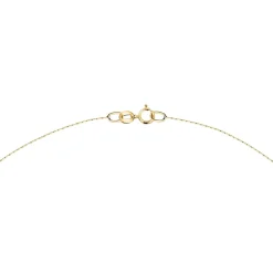 Catene|Gioielli In Oro<Bluespirit CATENA COBRA - P.13W709000400