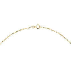 Gioielli In Oro|Catene<Bluespirit CATENA FORZATINA - P.767A09000100