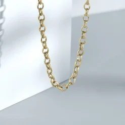 Catene|Gioielli In Oro<Bluespirit CATENA ROLO' - P.13S809000500