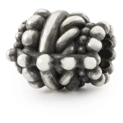 Gioielli In Argento|Gioielli Uomo<Trollbeads CHARM AUTUNNO - TAGBE-40137