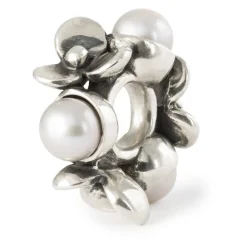 Gioielli In Argento<Trollbeads CHARM - TAGBE-00308