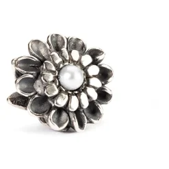 Gioielli In Argento<Trollbeads CHARM - TAGBE-00037