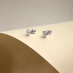 Orecchini|Gioielli In Argento<Bluespirit ORECCHINI EVERYDAY - P.251G01000100