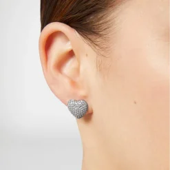 Orecchini|Gioielli In Argento<Chiara Ferragni Brand ORECCHINI SILVER COLLECTION - J19AXD22