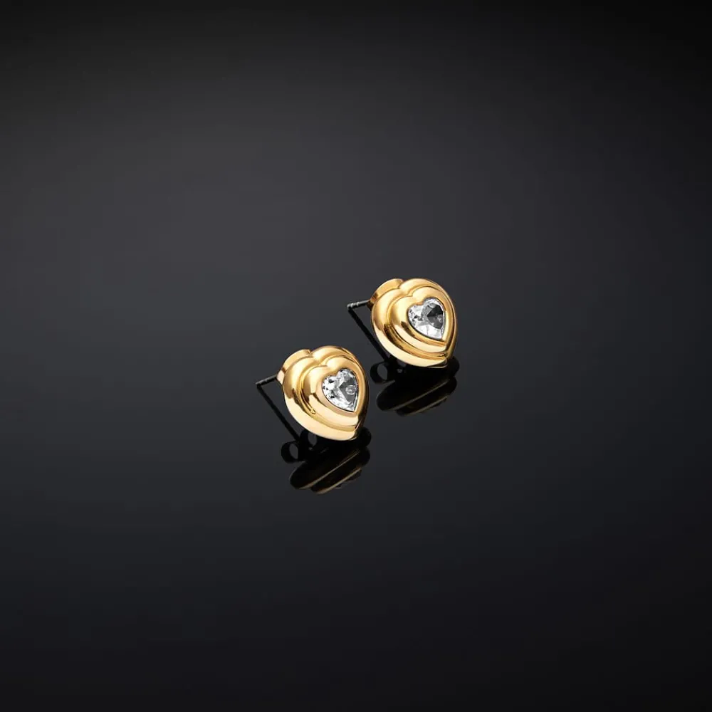 Gioielli In Acciaio|Gioielli Donna<Chiara Ferragni Brand ORECCHINI BOLD - J19AXP08