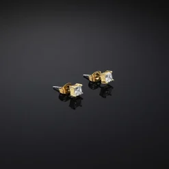 Orecchini|Gioielli In Acciaio<Chiara Ferragni Brand ORECCHINI CLASSIC - J19AVJ16