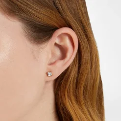 Orecchini|Gioielli In Acciaio<Chiara Ferragni Brand ORECCHINI CLASSIC - J19AVJ16