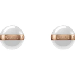 Orecchini|Gioielli In Acciaio<Daniel wellington ORECCHINI ASPIRATION - DW.DW00400152