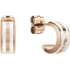 Orecchini|Gioielli In Acciaio<Daniel wellington ORECCHINI EMALIE - DW.DW00400148
