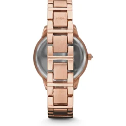 Scopri Tutti Gli Orologi|Orologi Donna<Fossil OROLOGIO JESSE - ES3020