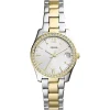 Scopri Tutti Gli Orologi|Just Time<Fossil OROLOGIO SCARLETTE MINI - FO.ES4319