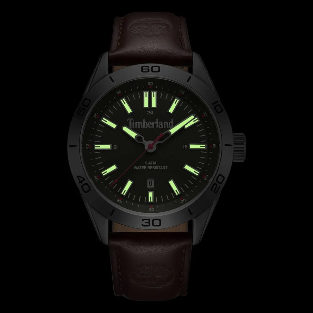 Just Time|Orologi Uomo<Timberland OROLOGIO HILLSBORO - TDWGB0041401